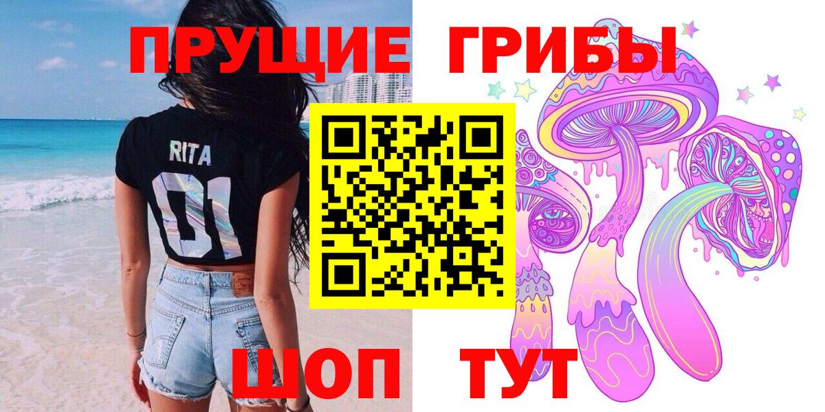 купить наркоту  Псилоцибиновые грибы GOLDEN TEACHER  Вход с VPN  Ртищево 