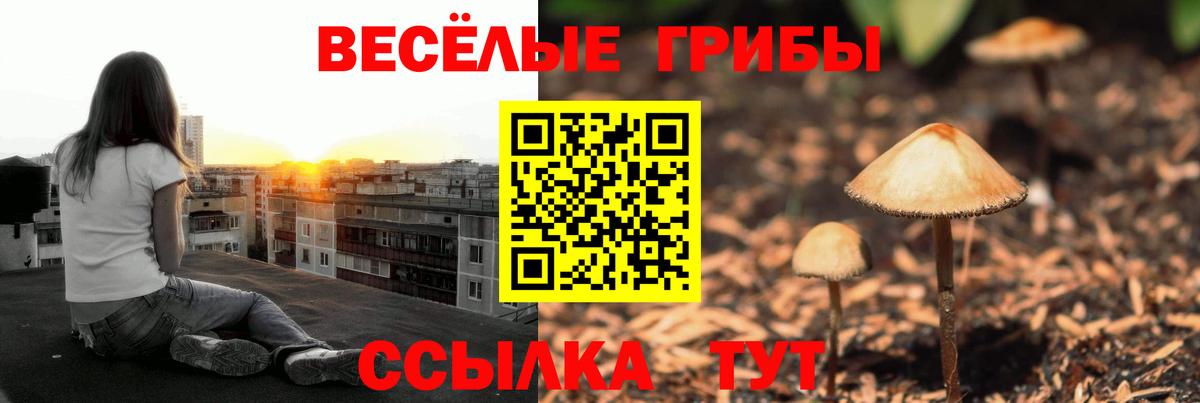 Псилоцибиновые грибы прущие грибы Ртищево